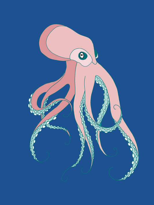 OCTOPUS